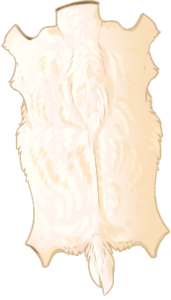 Deer Pelt - Albino
