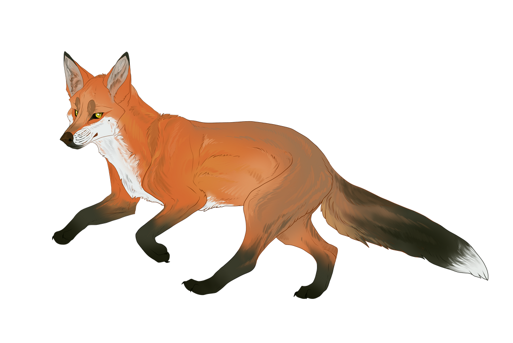 Fox Companion