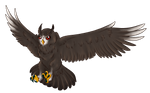 Red Eyed Owl Companion