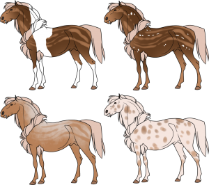 From Left to Right - Tobiano, Snowflake, Varnish/Roan, Leopard.